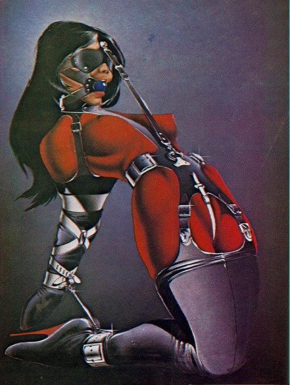 15P erotic sexual bondage artwork with tight rope and leather