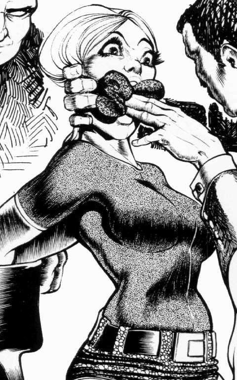 15P huge breasts fetish and sexual bondage painful rope tied artwork