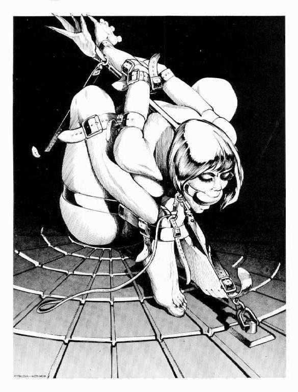 15P huge breasts fetish and sexual bondage painful rope tied artwork