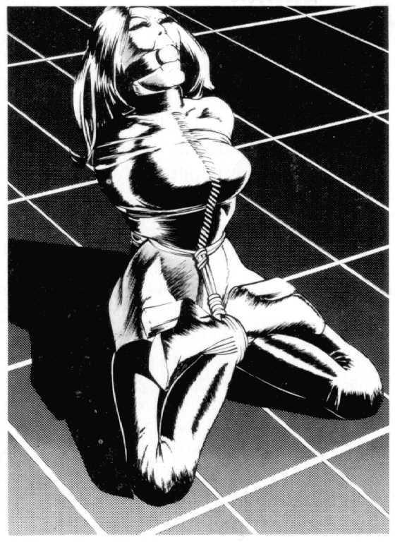15P huge breasts fetish and sexual bondage painful rope tied artwork