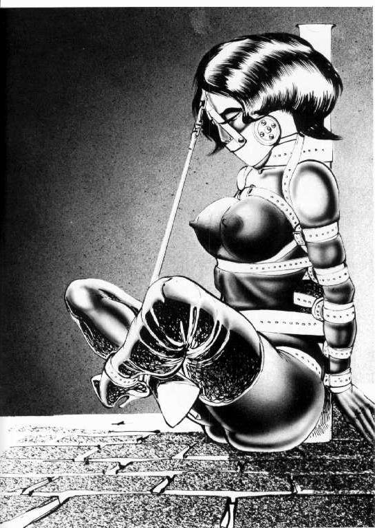 15P huge breasts fetish and sexual bondage painful rope tied artwork
