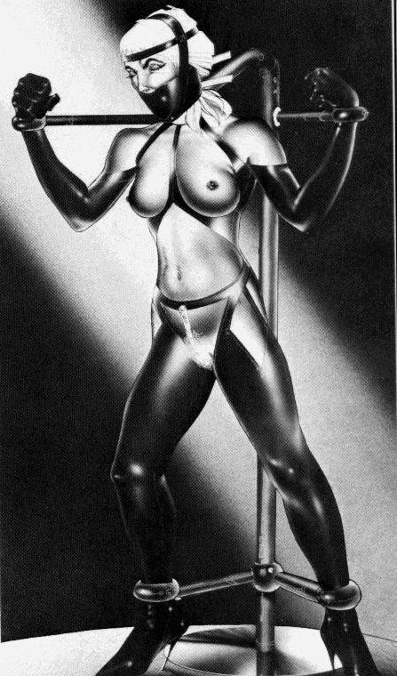 15P huge breasts fetish and sexual bondage painful rope tied artwork