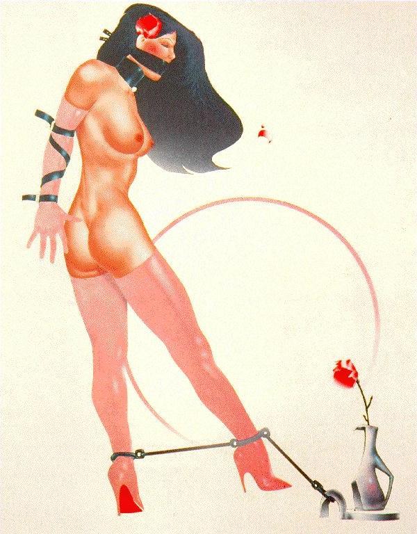 15P beautiful rope tied women in painful sexual bondage artworks