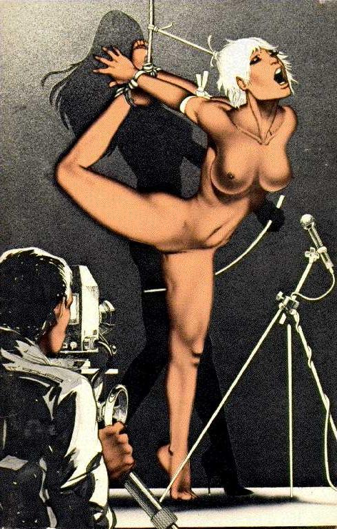 15P beautiful rope tied women in painful sexual bondage artworks