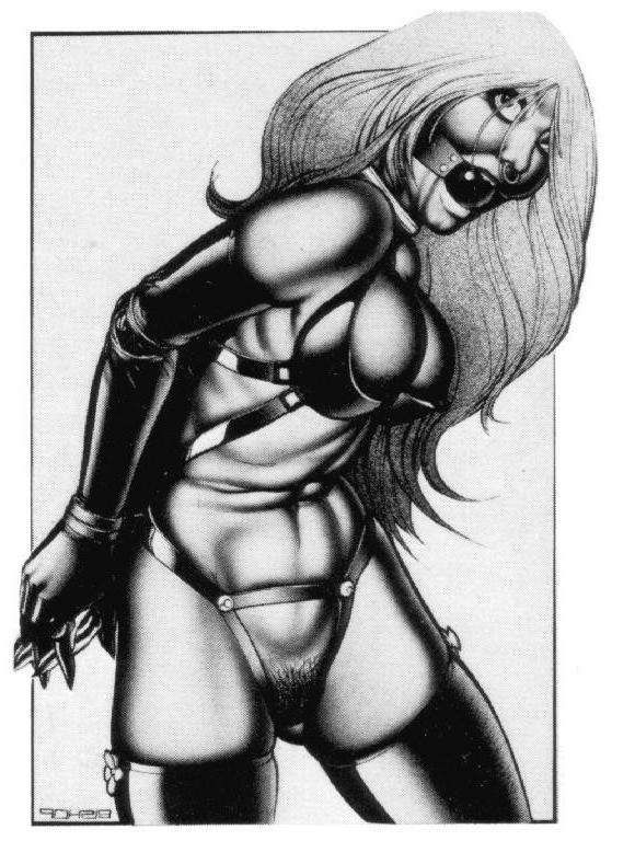 15P beautiful rope tied women in painful sexual bondage artworks