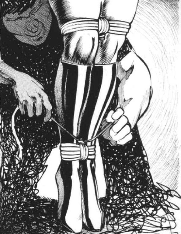 15P beautiful rope tied women in painful sexual bondage artworks