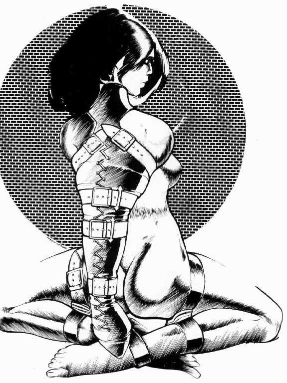 15P beautiful rope tied women in painful sexual bondage artworks