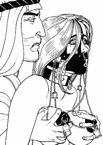 15P bizarre rope tied females in bondage with huge breasts artworks