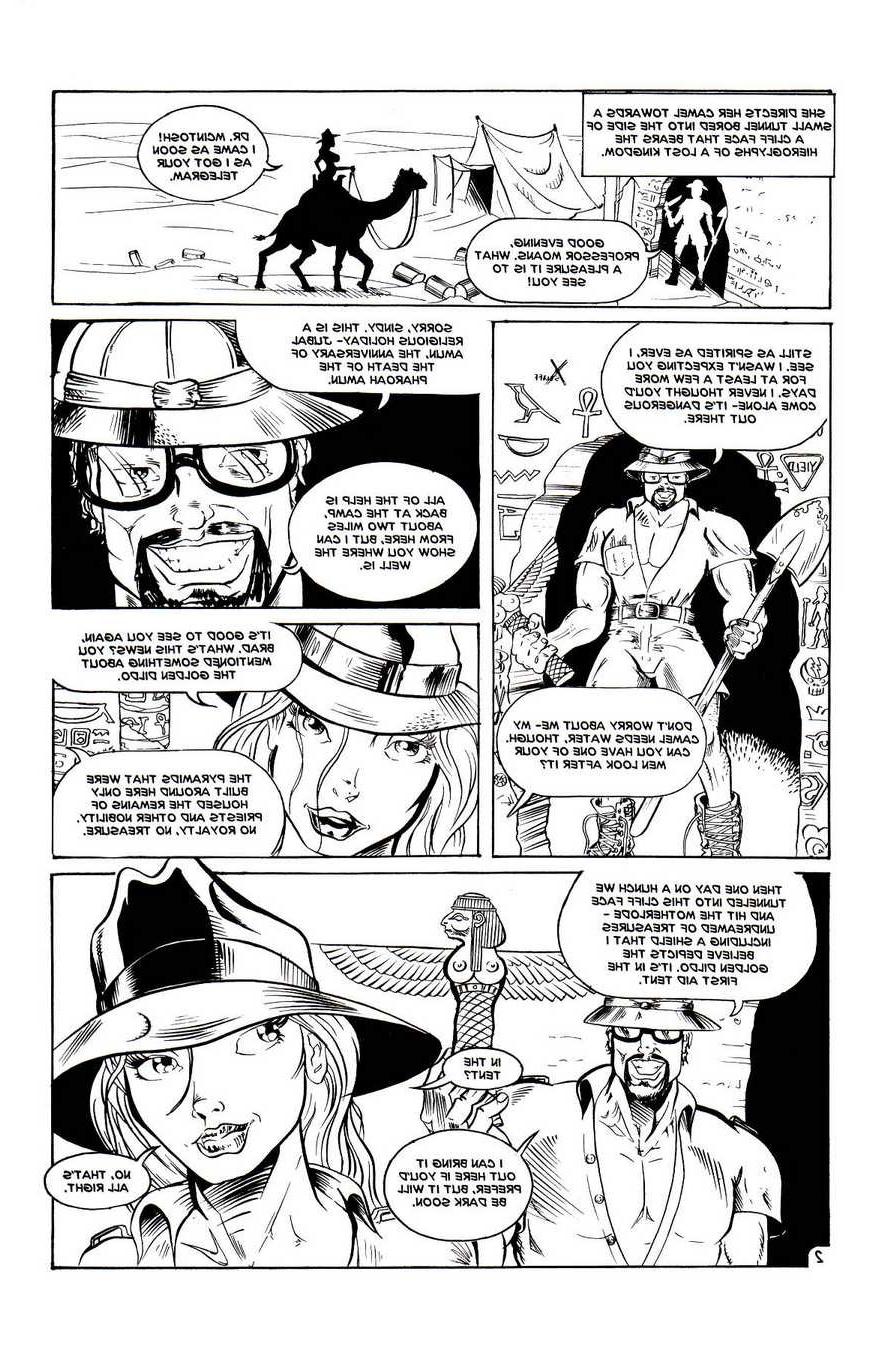 14P Hardcore adult comics