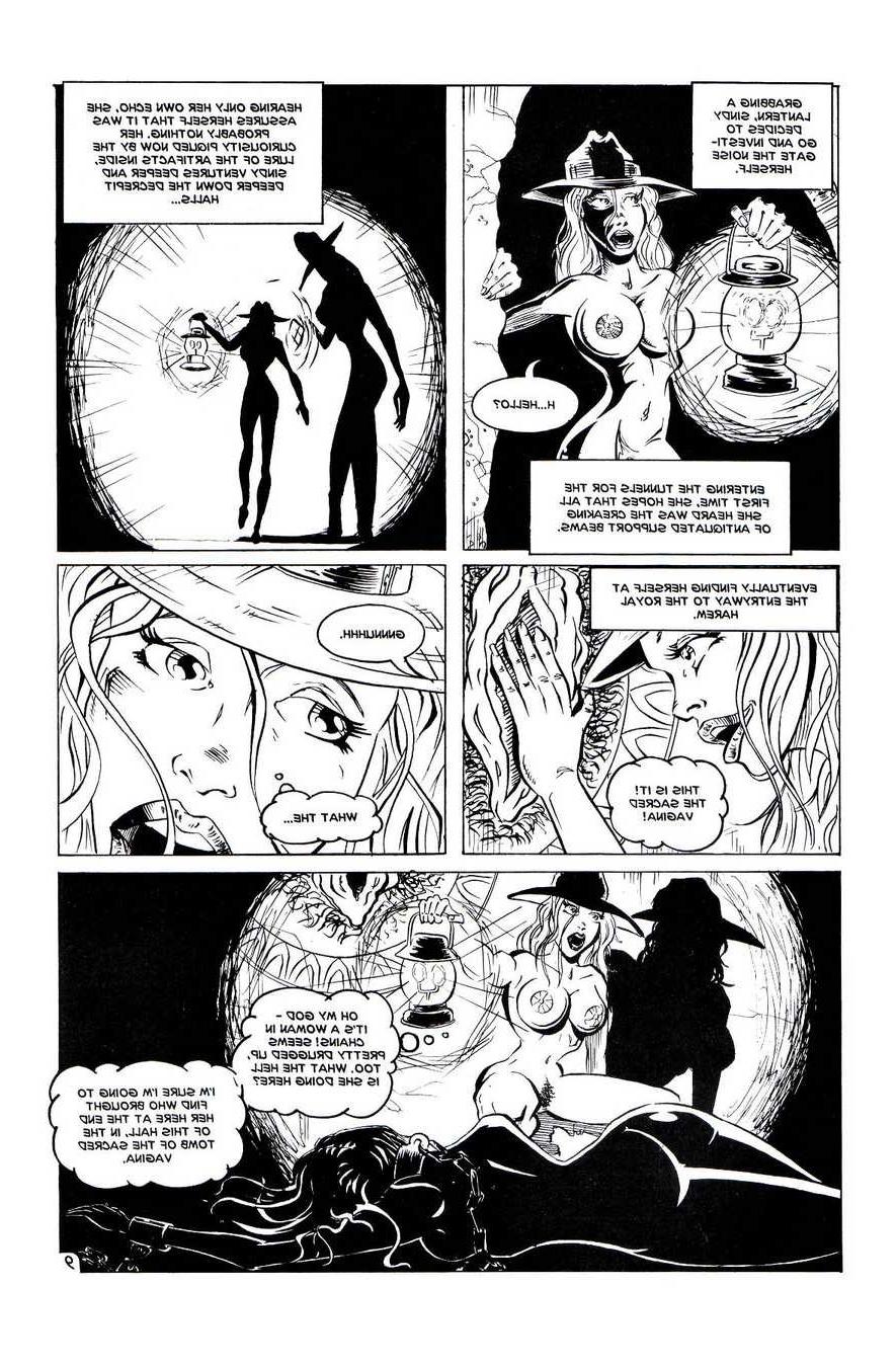 14P Hardcore adult comics