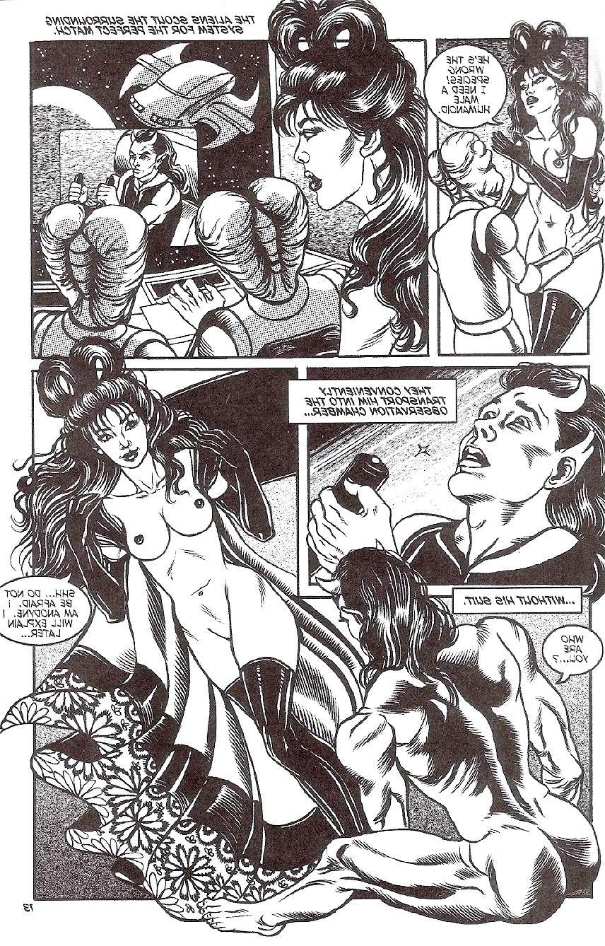 14P Hardcore-Comics für Erwachsene