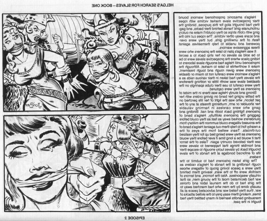 15P vintage female rope tied dungeon fetish illustrated stories