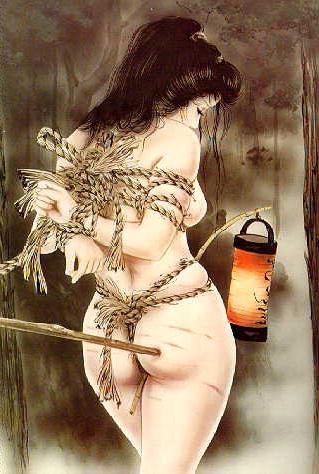 15P extreme japanese rope fetish art and classic drawings