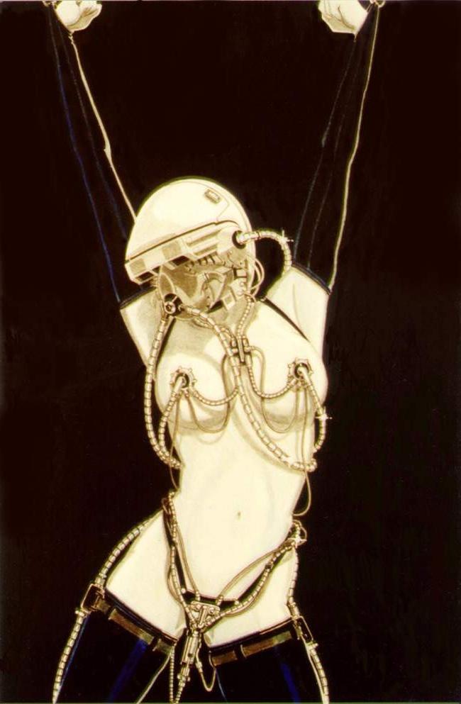 15P dungeon evil female rope and leather bondgae artworks