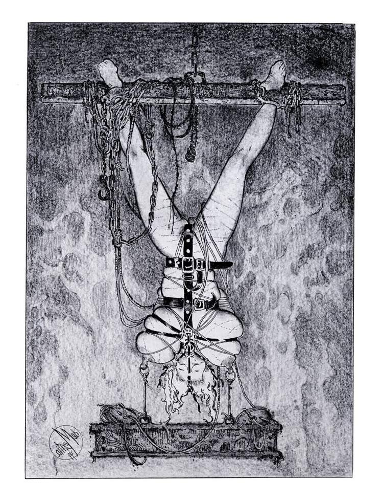 15P huge breasts tied with ropes tied too tight bondage artworks
