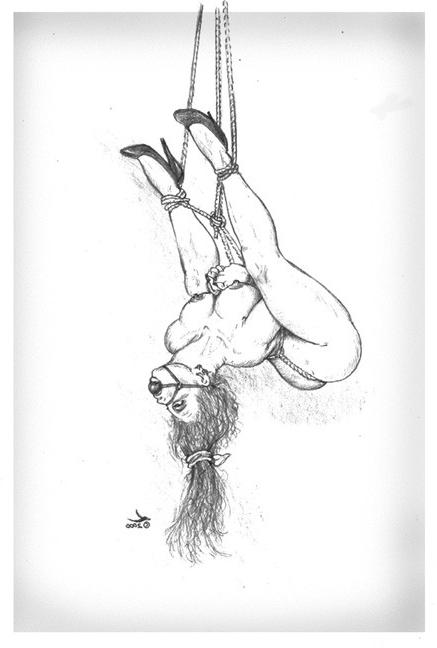 15P evil rope tied female painful bondage artworks