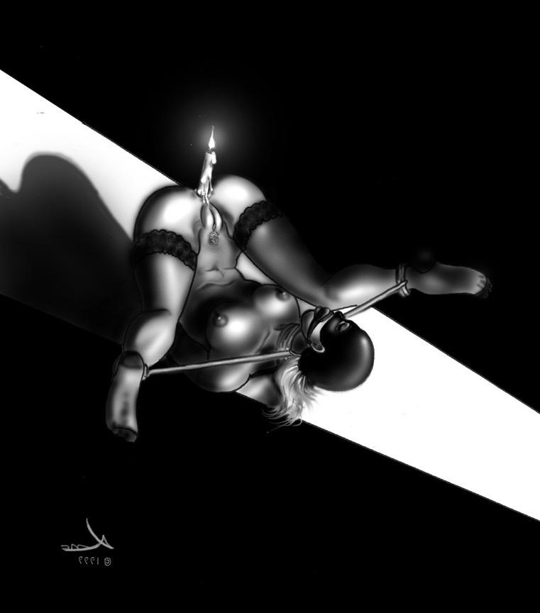 15P evil rope tied female painful bondage artworks