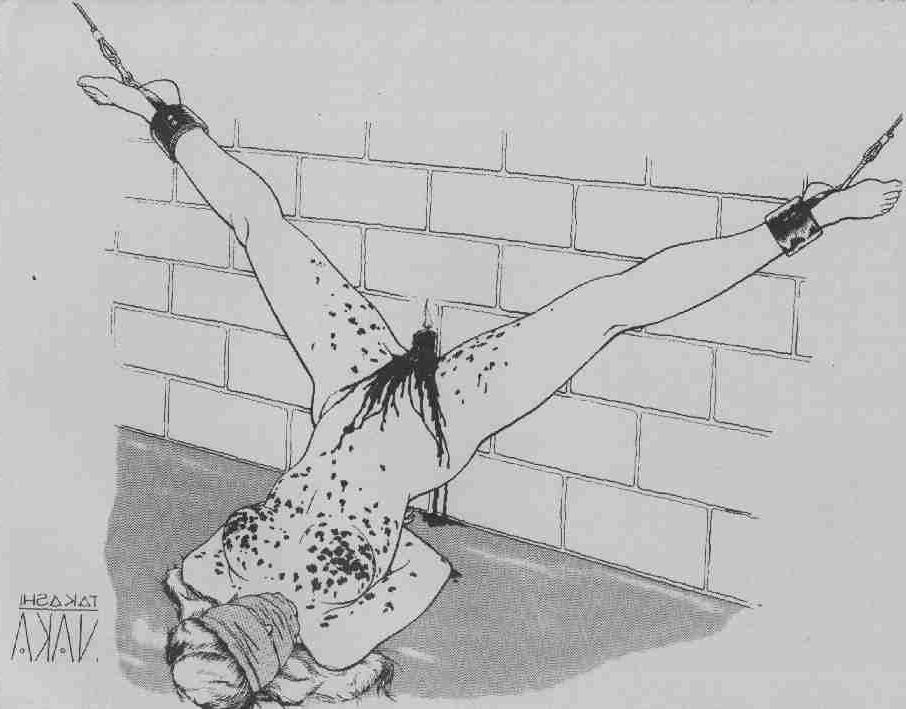 15P hard rope tied female painful bondage artworks