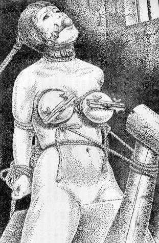 15P masterpieces of horror pain bondage art