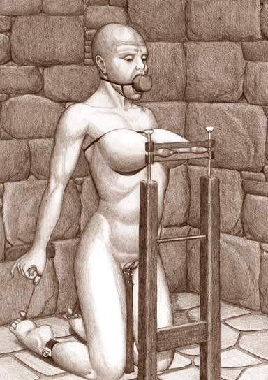 15P insane female rope and chain bdsm art