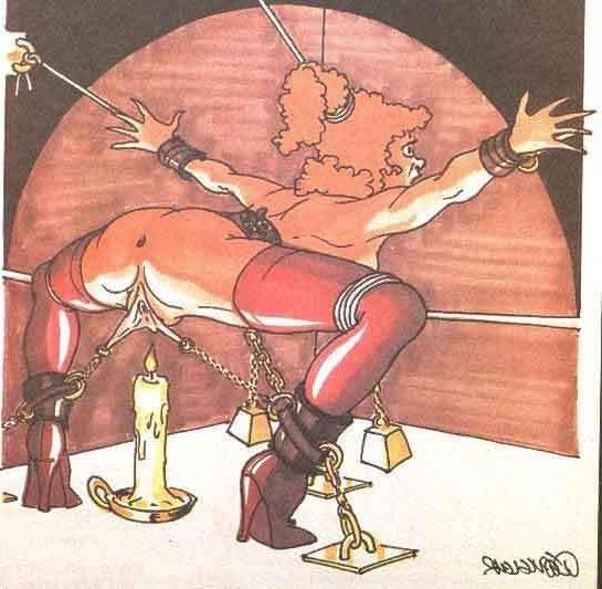 15P beautiful women in painful bdsm art