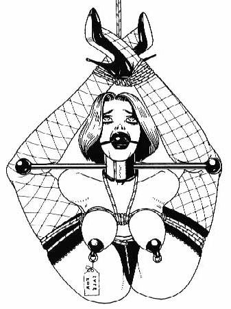 15P extreme bondage art breasts tied tight