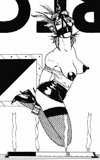 15P extreme bondage art breasts tied tight