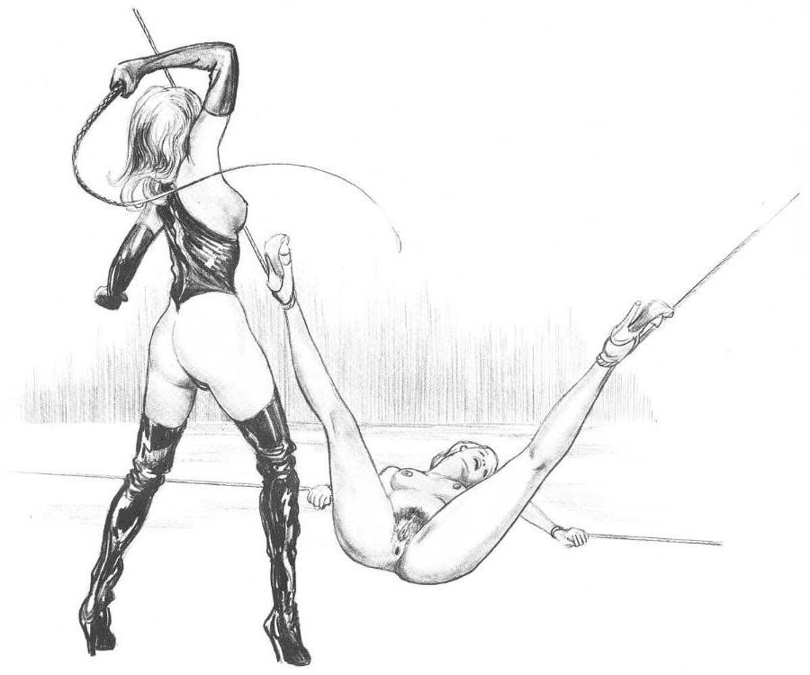 15P vintage artwork of evil female bdsm