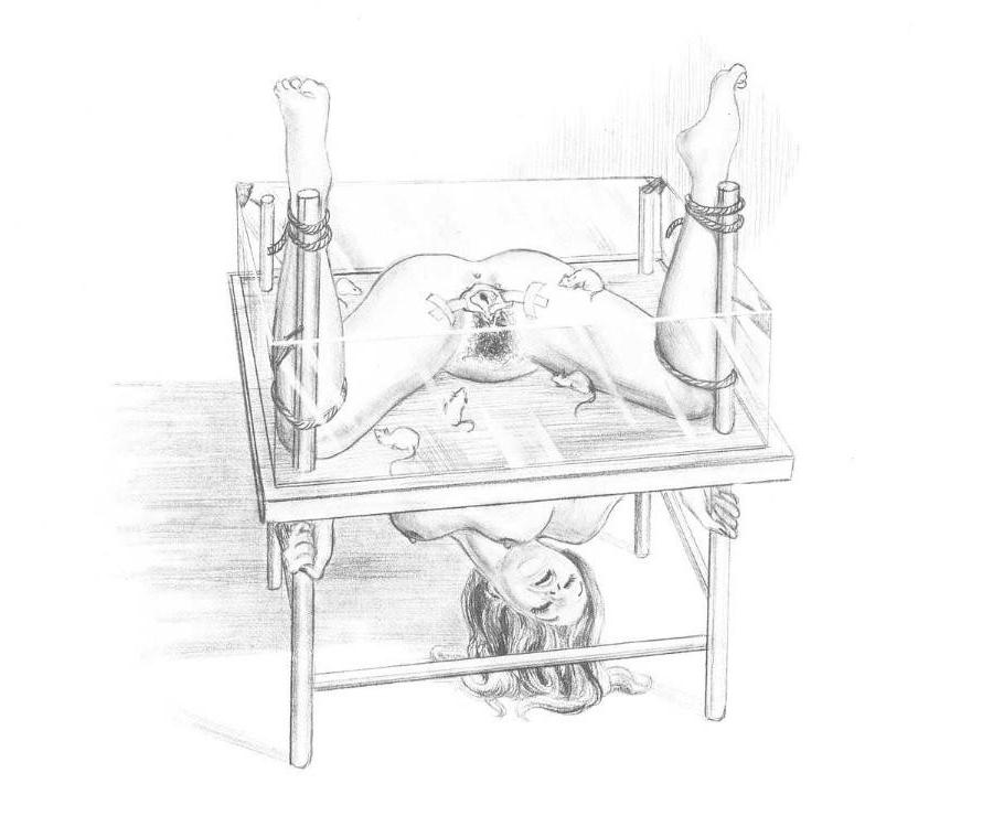 15P vintage artwork of evil female bdsm
