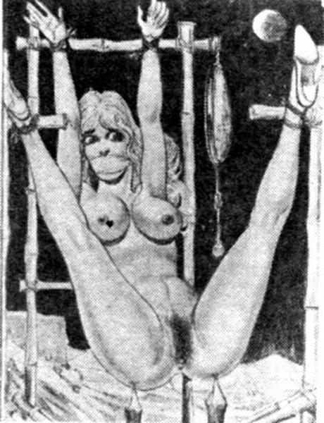 15P evil punishment and horror bdsm drawings