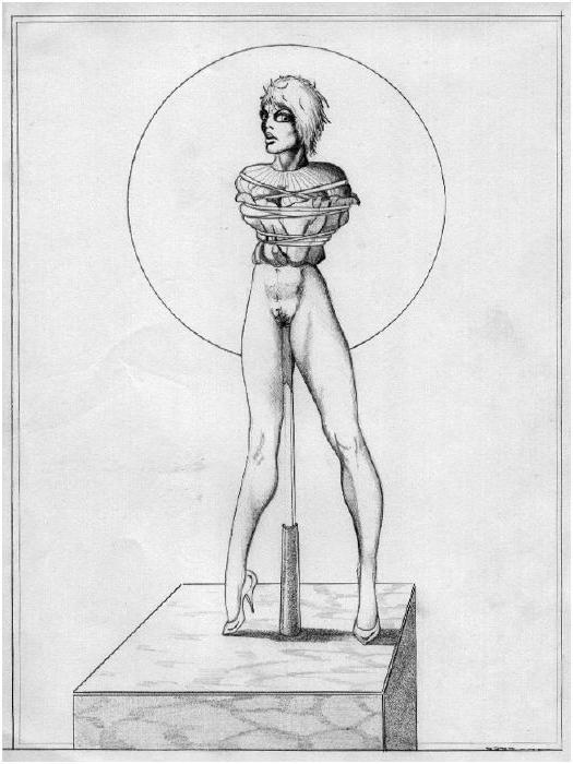 15P erotic contortion bondage art drawings