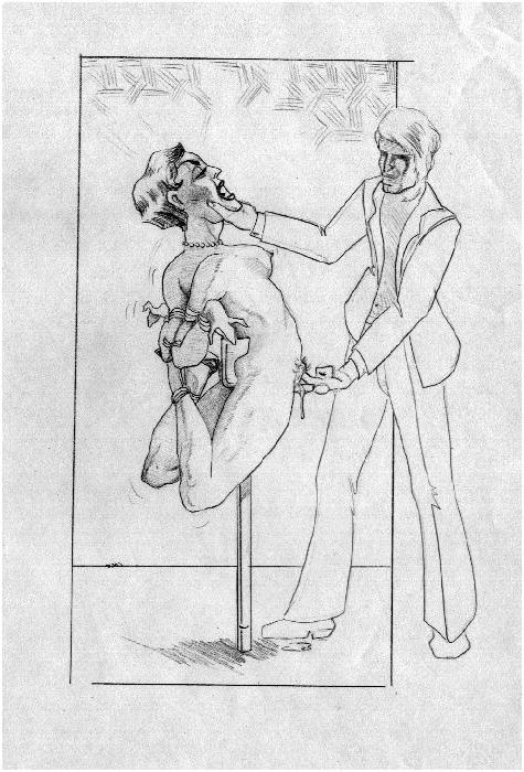 15P erotic contortion bondage art drawings
