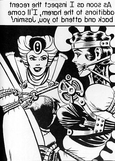 15P vintage female classic bondage art