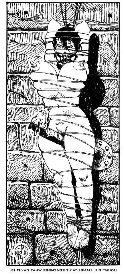 15P enormous breast bondage artworks