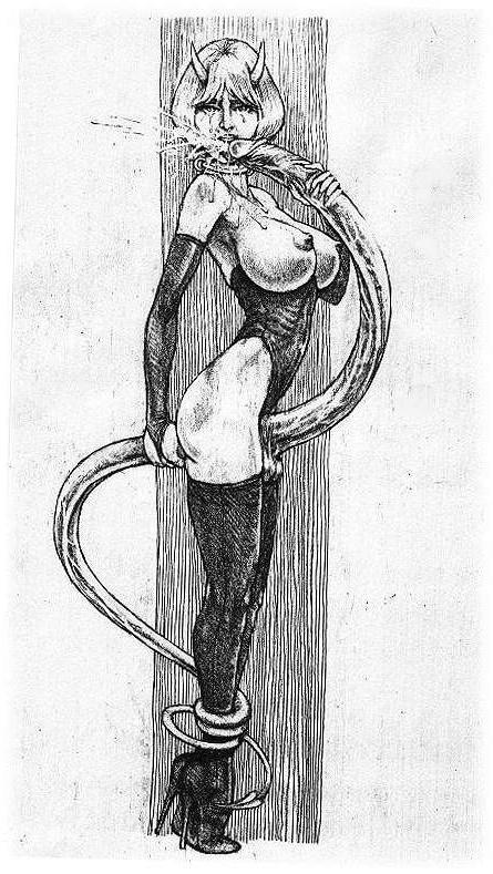 15P bizarre female perversions and bdsm art