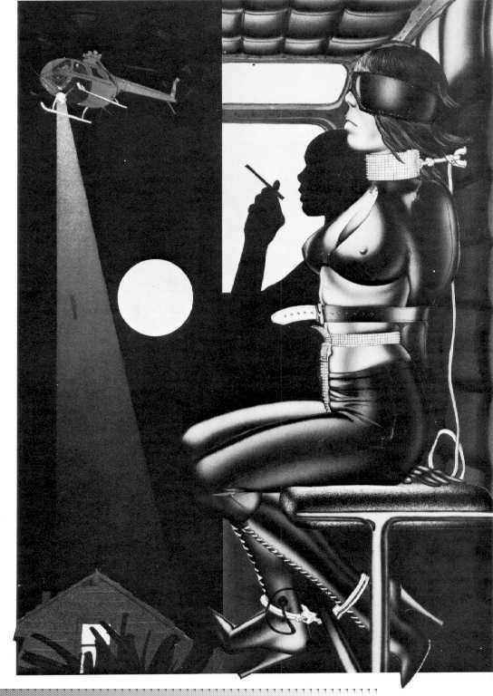 15P great fetish artists bondage drawings