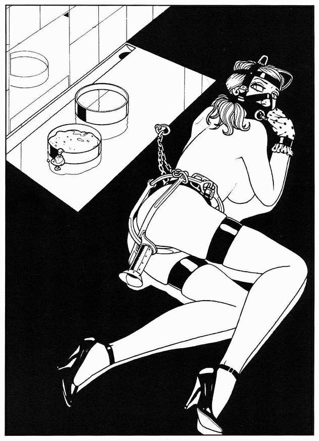 15P classic master bondage artworks