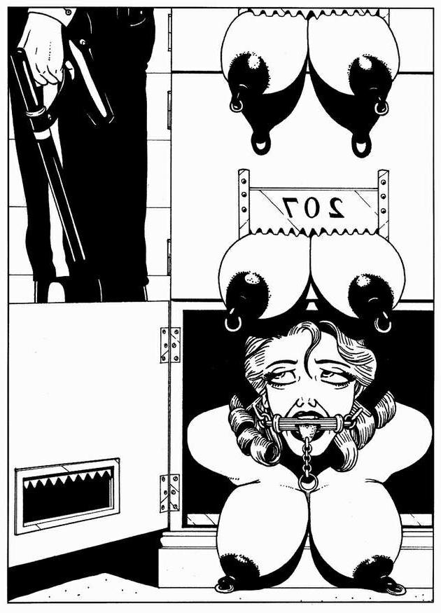 15P classic master bondage artworks