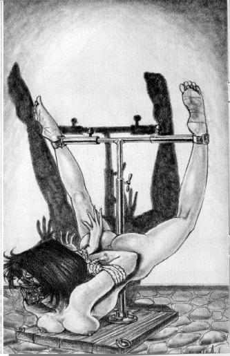 15P beautiful woman in sever bondage art