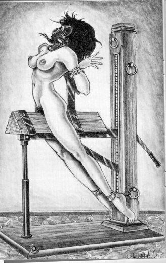 15P beautiful woman in sever bondage art