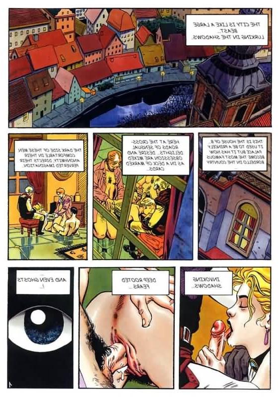 16P Hardcore adult comics