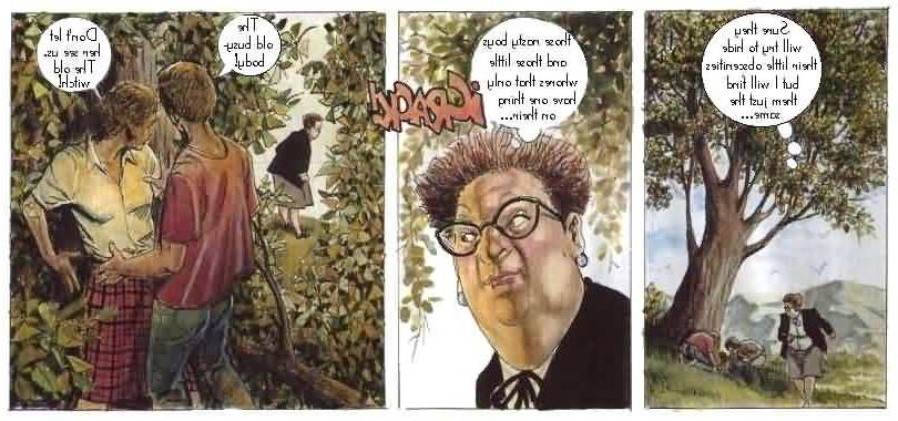 12P Funny erotic comics