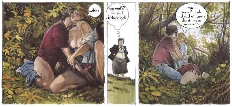 12P Funny erotic comics