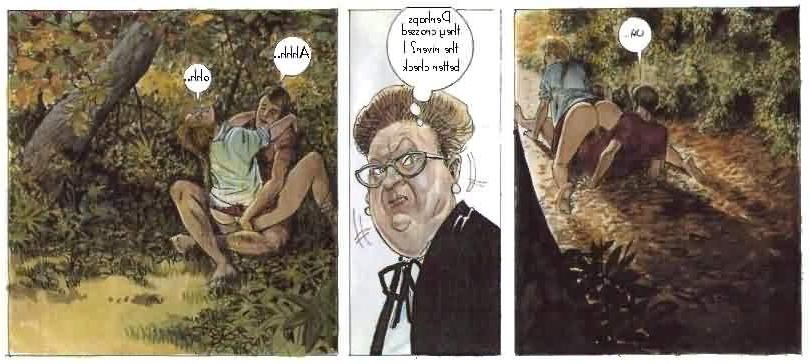 12P Funny erotic comics