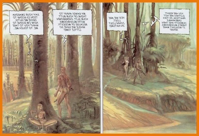 15P Porn comic novel