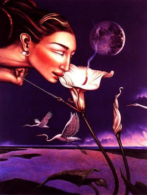 20P Fantasy art work