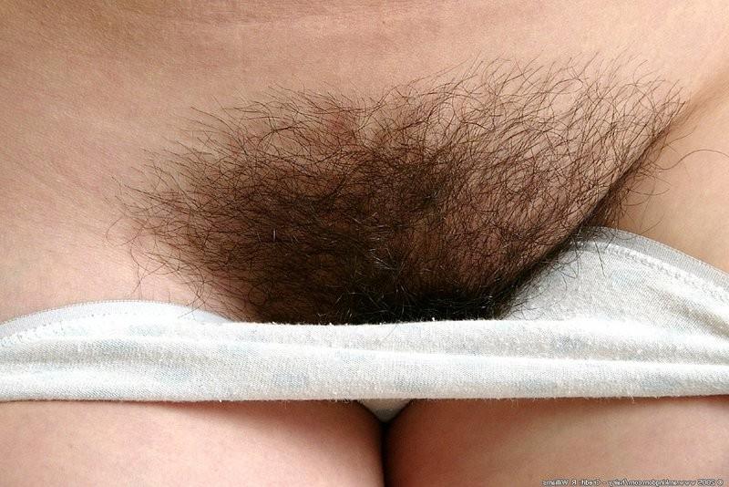 15P Healthy dark haired milf shows us her thick hairy curvey parts
