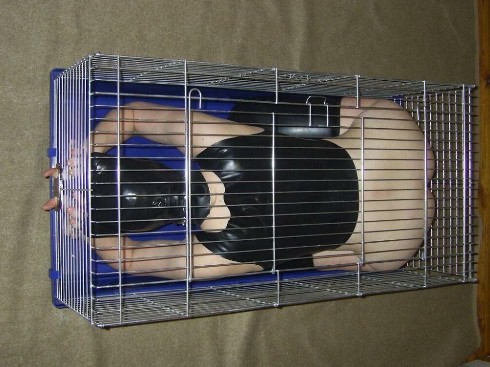 15P Kinky teen gfs tied up and tortured gallery 15