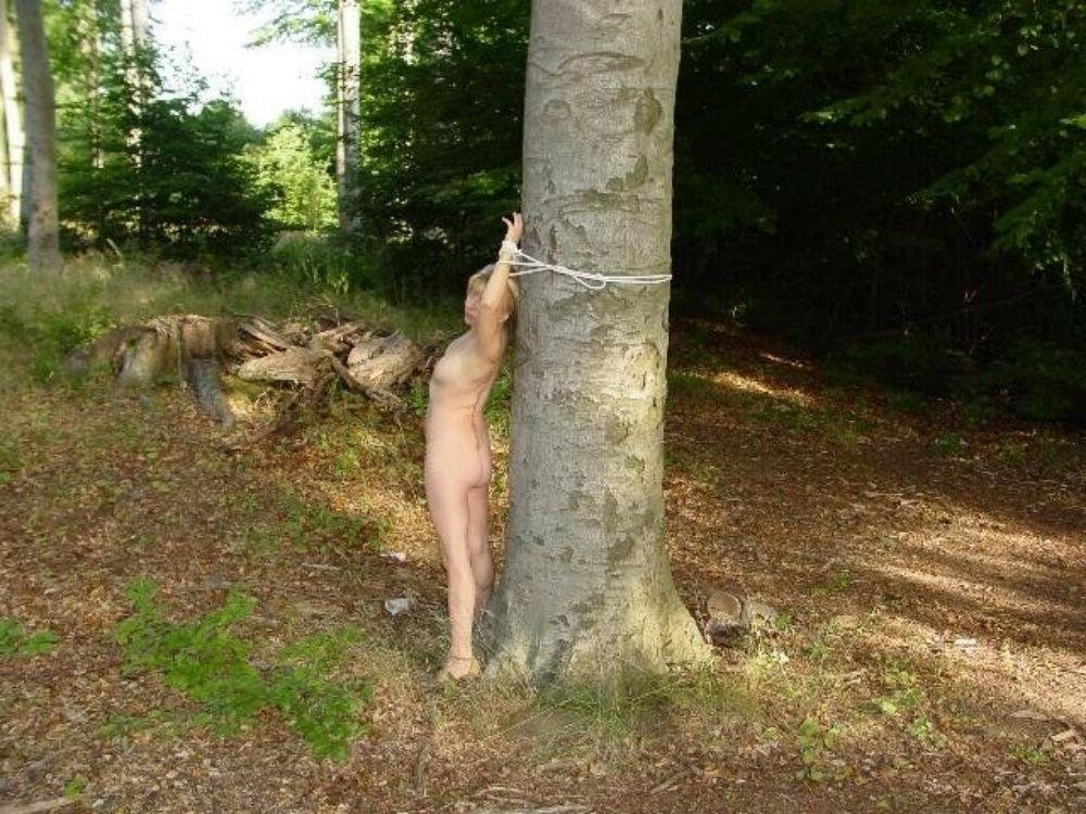 4P Kinky girlfriends tied up and fucked gallery 5
