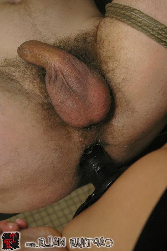 16P Femdom training a sissy male toilet slave in the bathroom
